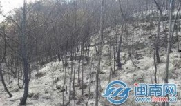 南安烧山最新爆料,揭秘真相与背后故事