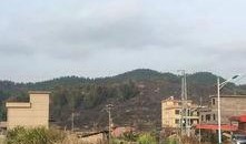 南安烧山最新爆料,揭秘真相与背后故事