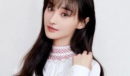 郑爽最新爆料消息,独家爆料揭露惊人内幕