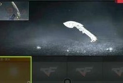 掌火策划爆料最新