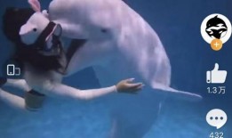 海洋最新爆料视频,最新海洋爆料视频带你探索未知世界