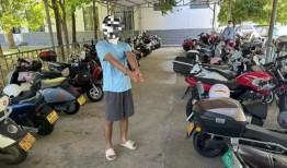 电动自行车事件最新爆料,揭秘背后惊人真相