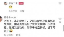 北京永琪爆料案件最新,揭秘背后惊人真相与法律较量