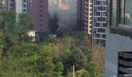 成都公园爆料最新消息,探寻绿意盎然中的秘密角落