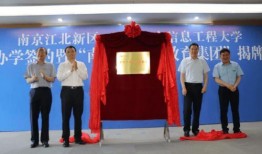 晨泉集团爆料最新消息视频,揭秘企业动态与未来战略