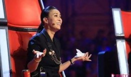 那英王菲最新爆料,娱乐圈背后的故事与心路历程