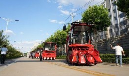 沃神最新爆料2024,揭秘年度体育界重大事件与热点人物