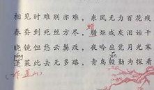 石家庄教育局最新爆料,教育改革动态与未来展望