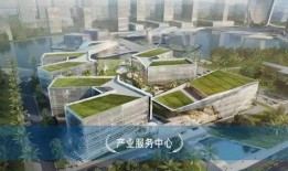 金湾最新爆料,揭秘神秘项目背后的惊人真相！