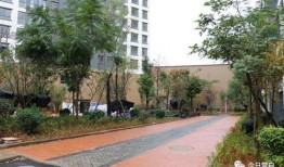 龙湖维也纳小区最新爆料,揭秘神秘豪宅背后的故事