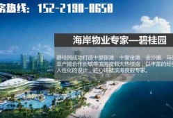 湛江吴川头条最新爆料,揭秘重大事件背后真相