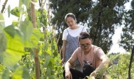 川乡小妹爆料视频最新,揭秘视频背后的惊人真相！