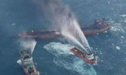 海洋最新爆料视频,最新海洋爆料视频带你探索未知世界